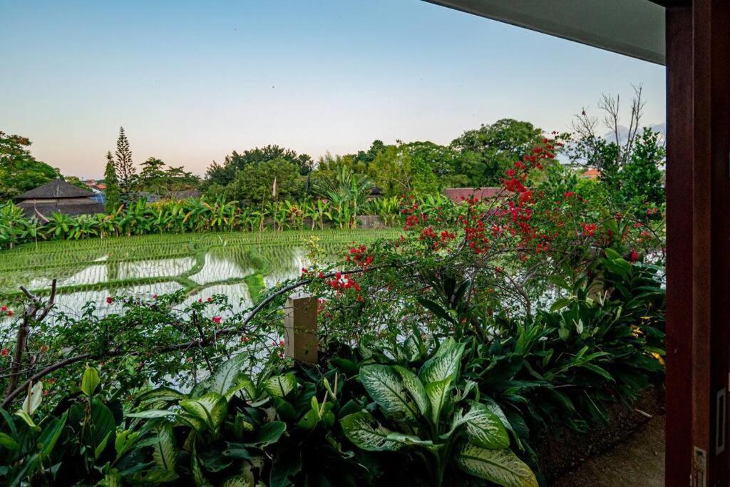 Villa Mimpi Nyata Canggu Exterior foto